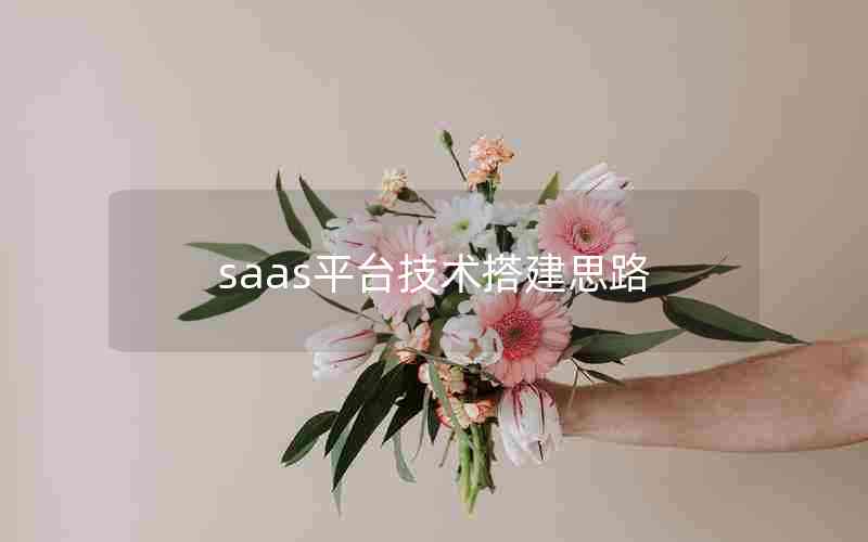 saas平台技术搭建思路