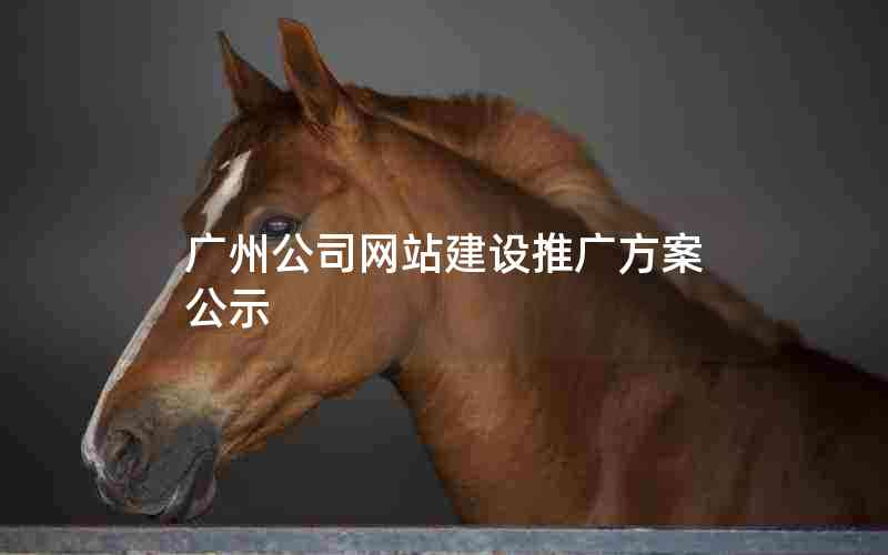 广州公司网站建设推广方案公示