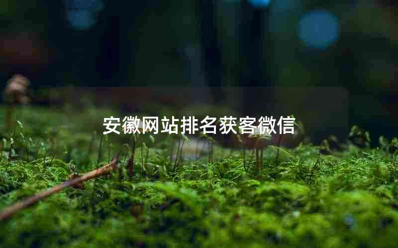 安徽网站排名获客微信