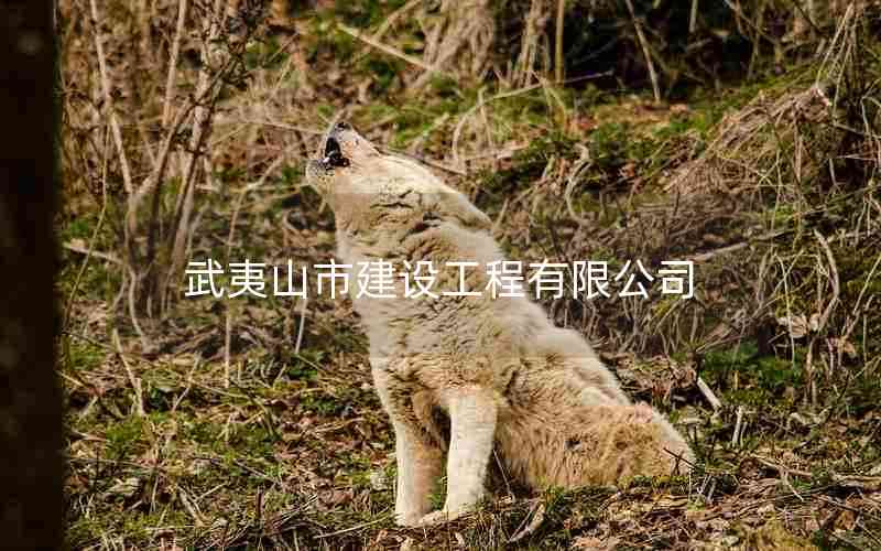 ɽн蹤޹˾