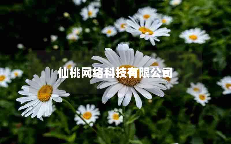 Ƽ޹˾