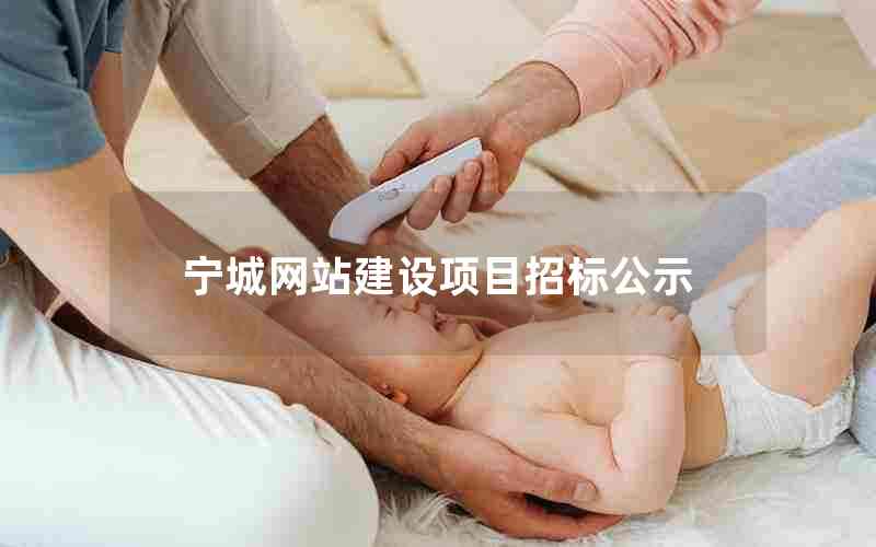 宁城网站建设项目招标公示