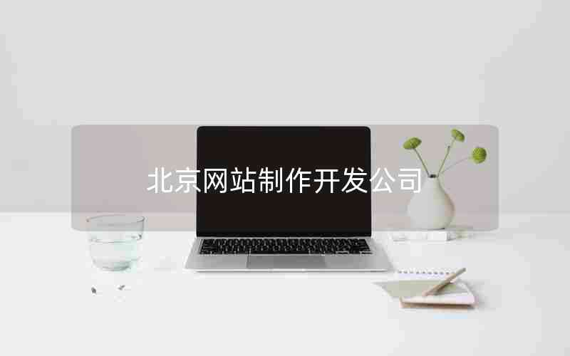 北京网站制作开发公司