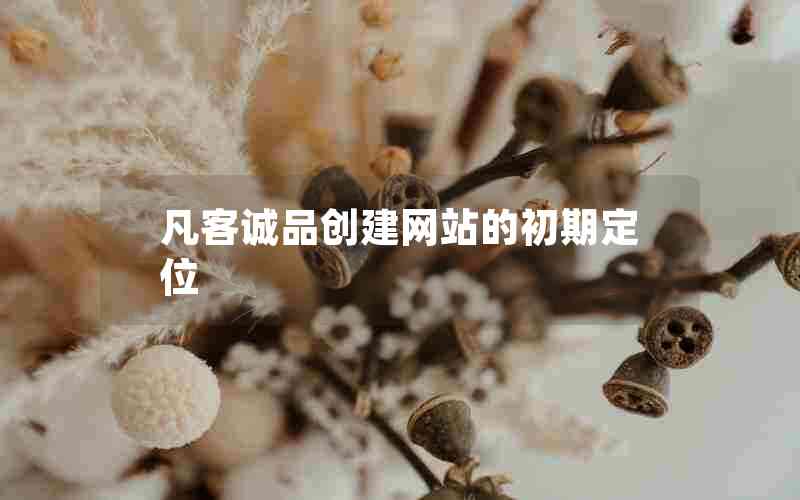 凡客诚品创建网站的初期定位