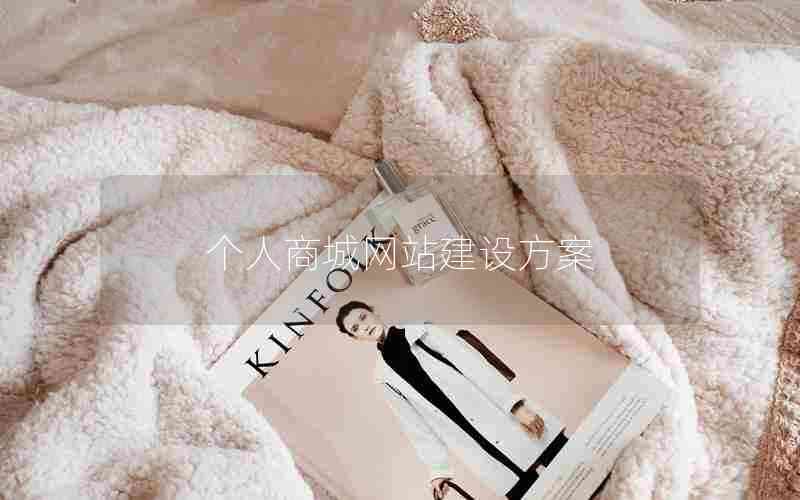 个人商城网站建设方案