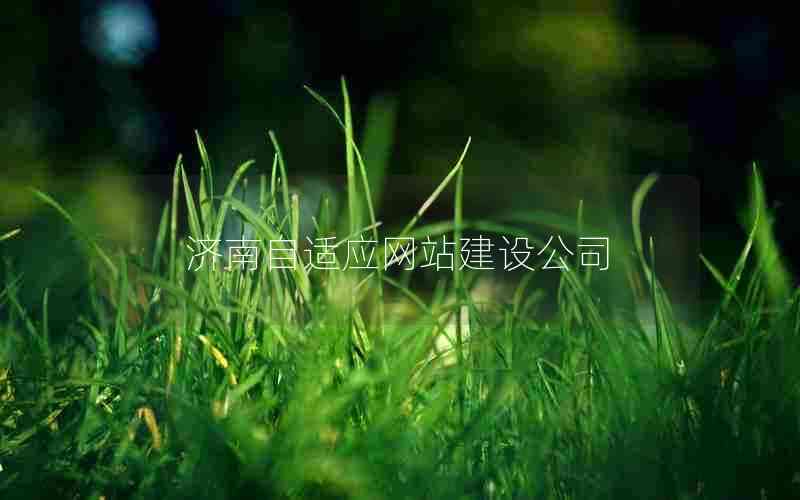 济南自适应网站建设公司