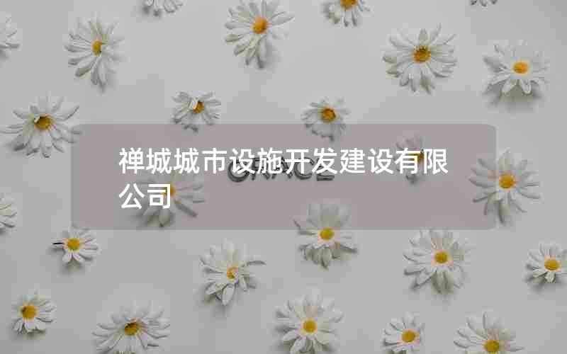 ǳʩ޹˾