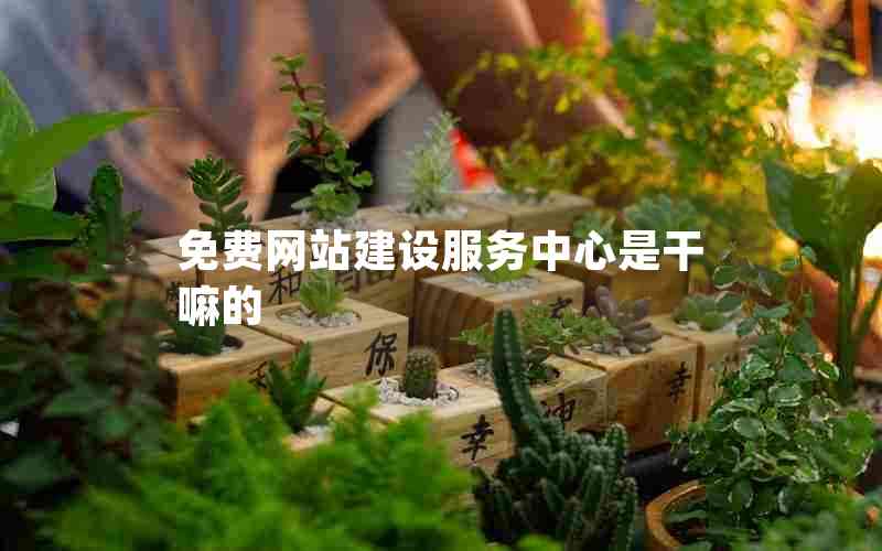 免费网站建设服务中心是干嘛的