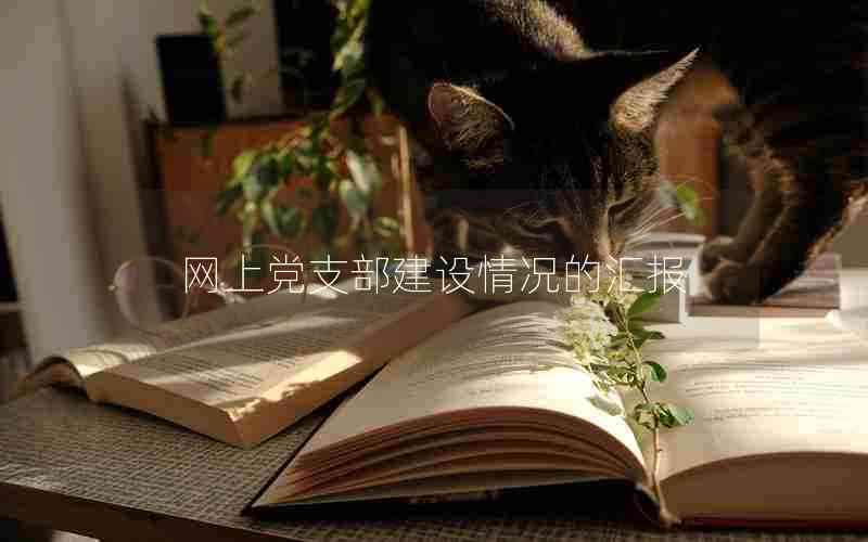 网上党支部建设情况的汇报
