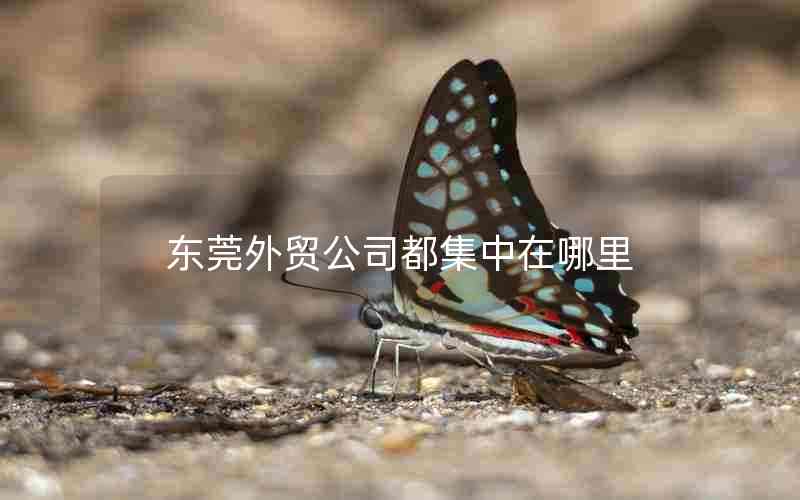东莞外贸公司都集中在哪里