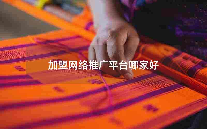 加盟网络推广平台哪家好