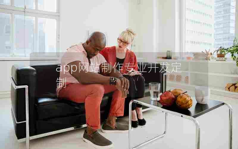 app网站制作专业开发定制