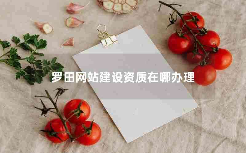 罗田网站建设资质在哪办理
