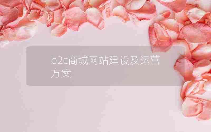 b2c̳վ輰Ӫ