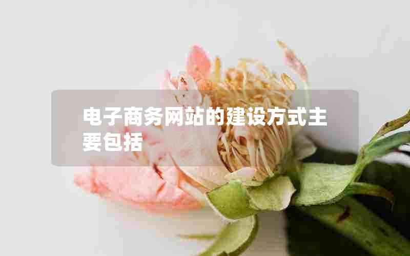 电子商务网站的建设方式主要包括