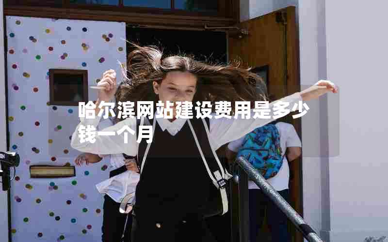 哈尔滨网站建设费用是多少钱一个月