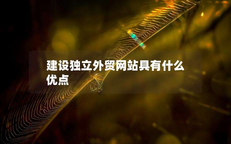 建设独立外贸网站具有什么优点