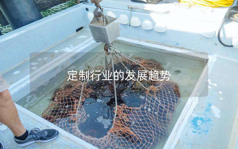 定制行业的发展趋势
