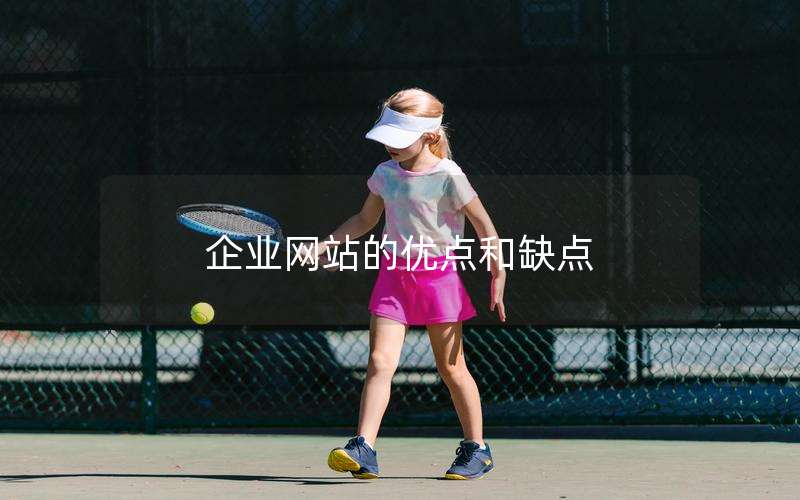 企业网站的优点和缺点