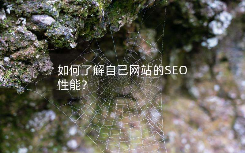 如何了解自己网站的SEO性能？(网站seo分析一般包括哪几个方面)