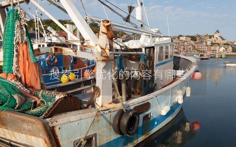 搜索引擎优化的内容有哪些