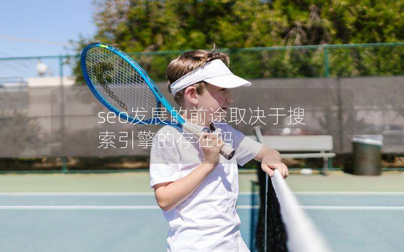 seo发展的前途取决于搜索引擎的存在吗