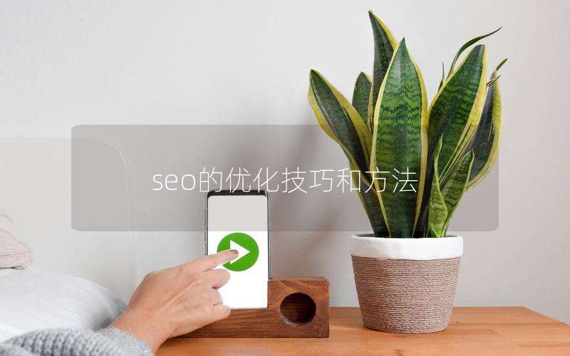 seo的优化技巧和方法