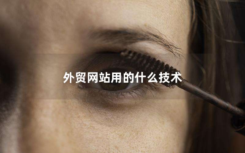 外贸网站用的什么技术
