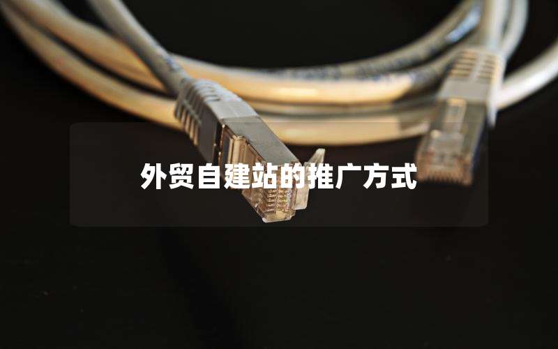 外贸自建站的推广方式