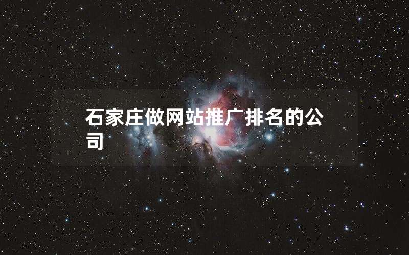 石家庄做网站推广排名的公司