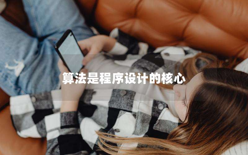 算法是程序设计的核心