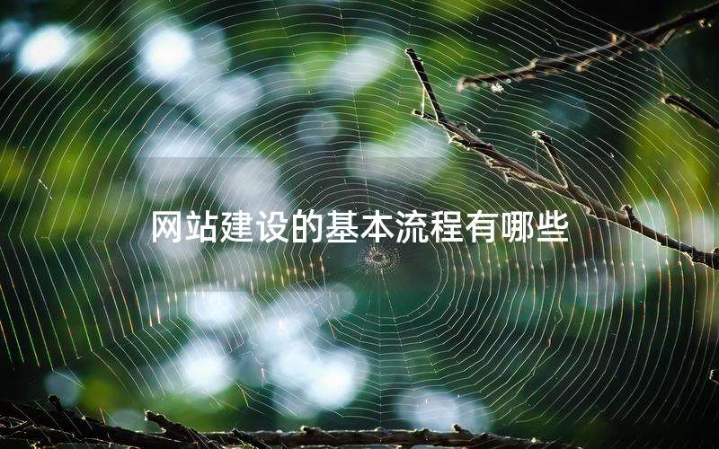 网站建设的基本流程有哪些