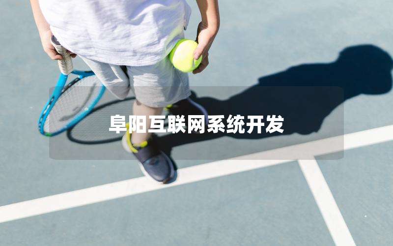 阜阳互联网系统开发