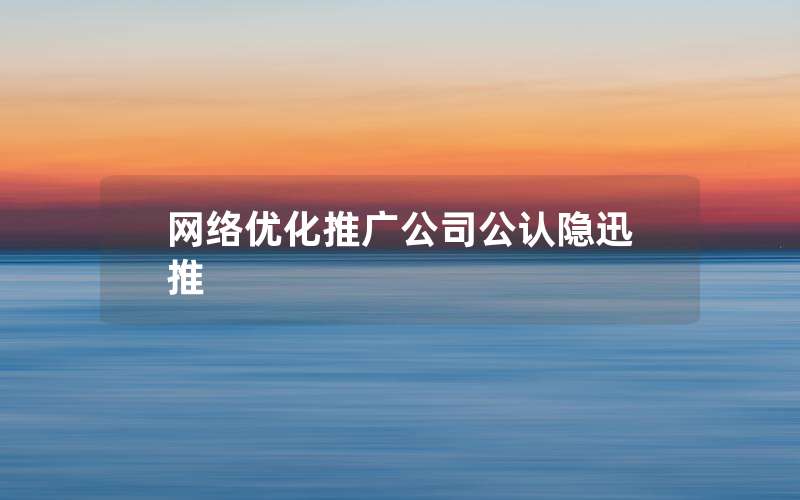 网络优化推广公司公认隐迅推