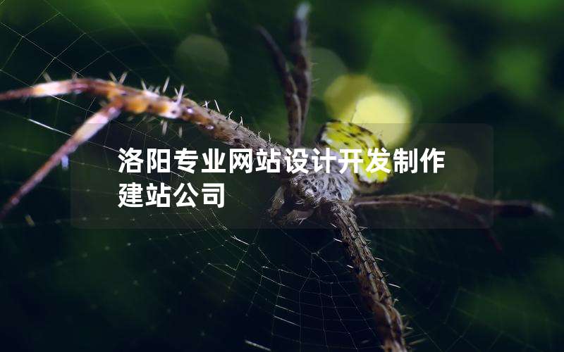 洛阳专业网站设计开发制作建站公司