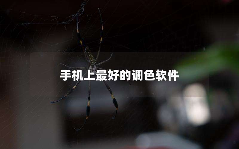 手机上最好的调色软件