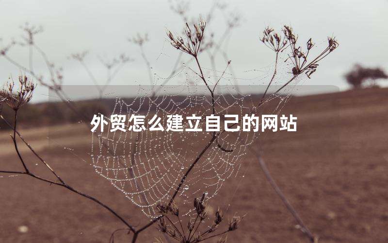 外贸怎么建立自己的网站