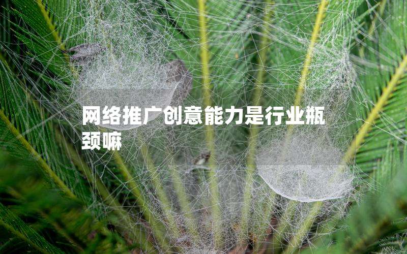 网络推广创意能力是行业瓶颈嘛