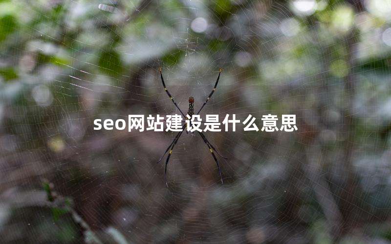seo网站建设是什么意思