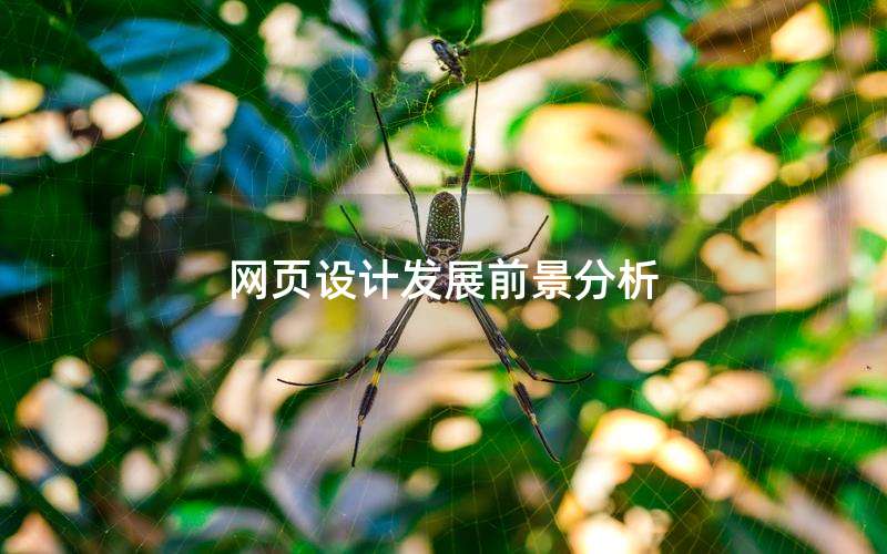 网页设计发展前景分析