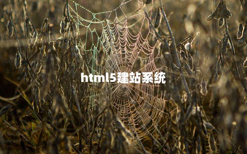 html5վϵͳ