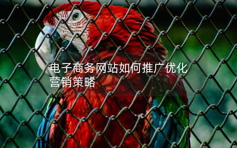 电子商务网站如何推广优化营销策略