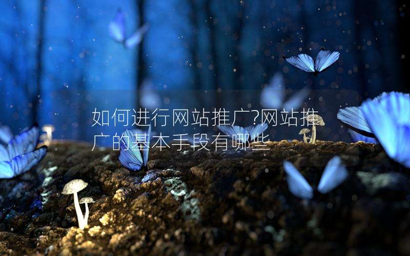 如何进行网站推广?网站推广的基本手段有哪些