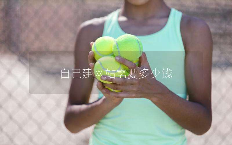 自己建网站需要多少钱
