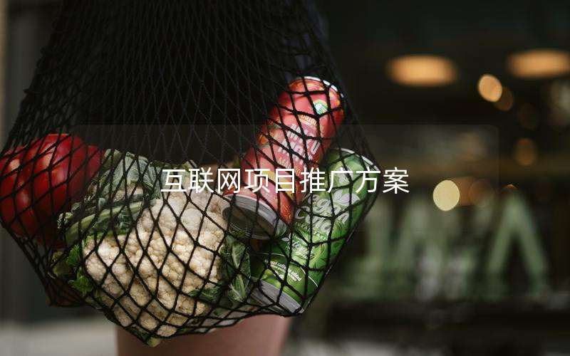 互联网项目推广方案