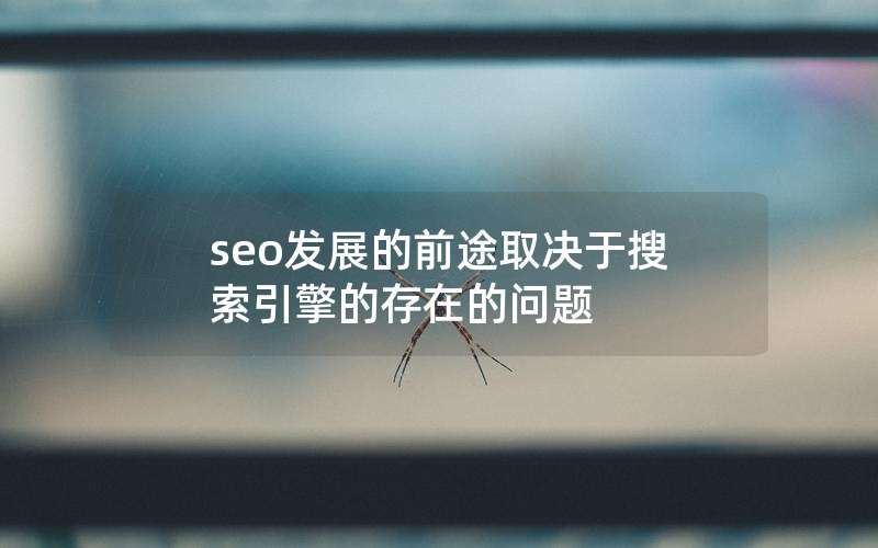 seo发展的前途取决于搜索引擎的存在的问题