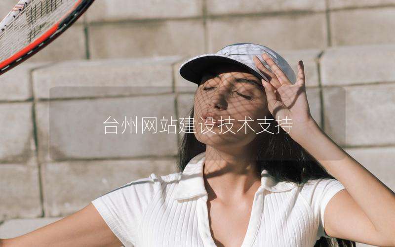 台州网站建设技术支持