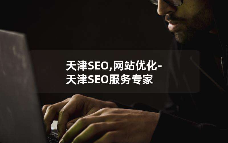 天津SEO,网站优化-天津SEO服务专家、天津seo,网站优化-天津seo服务专家