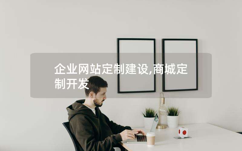 企业网站定制建设,商城定制开发