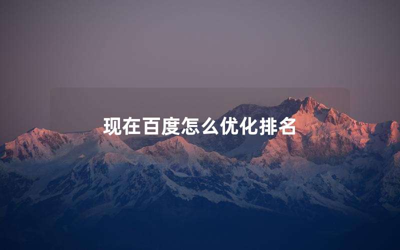 现在百度怎么优化排名